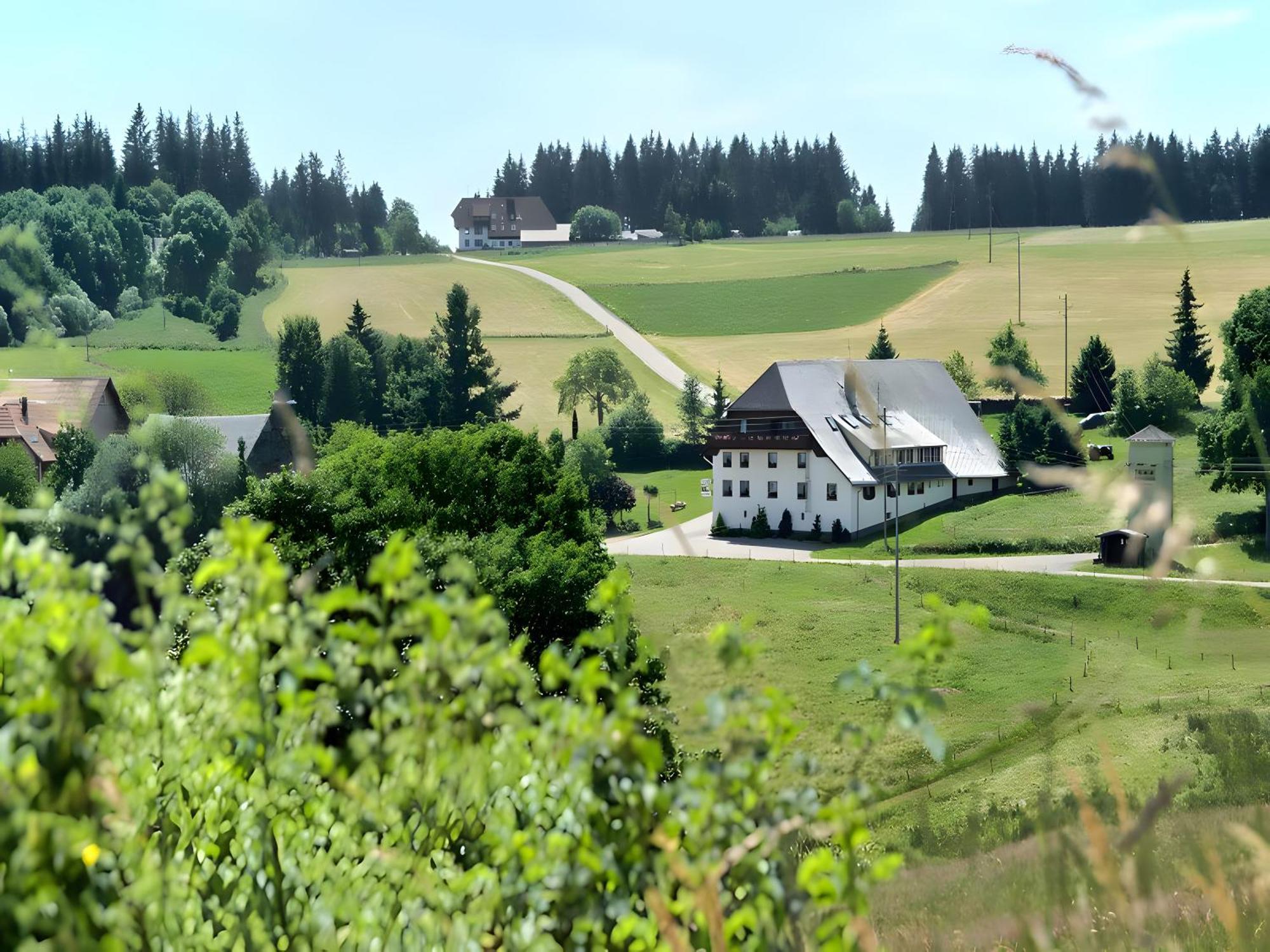 Gasthaus-Pension Zum Loewen กราเฟินเฮาเซน ภายนอก รูปภาพ