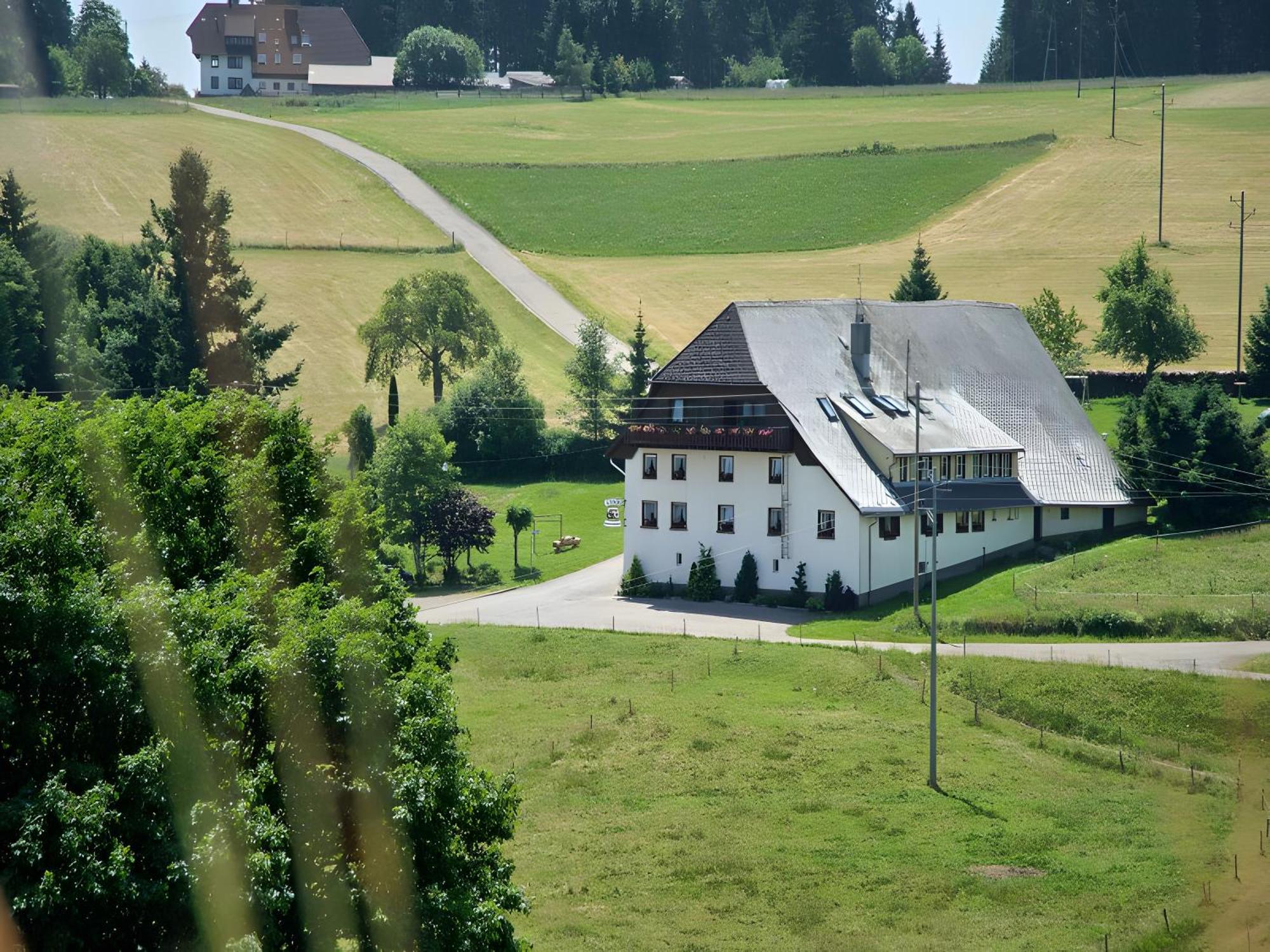 Gasthaus-Pension Zum Loewen กราเฟินเฮาเซน ภายนอก รูปภาพ